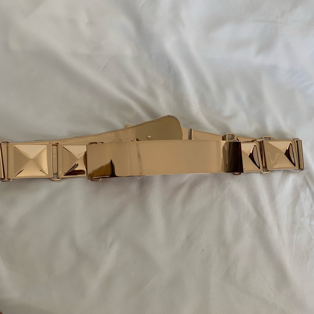 Metal Belt - Picture 2 of 4